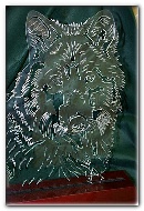 A large assortment of various style truss rod covers made-to-order