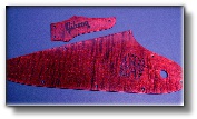 From pickguards to electronics covers-----we've got you covered