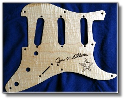 From pickguards to electronics covers-----we've got you covered