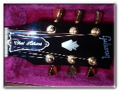 A large assortment of various style truss rod covers made-to-order
