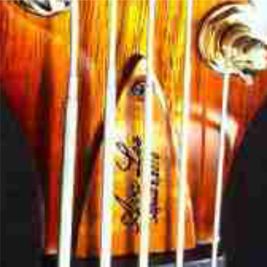 Carvin Bass With Custom Koa Wood Truss Rod Cover